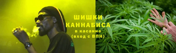 молекула духа Алзамай