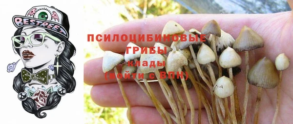 мяу мяу кристалл Алексеевка